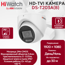 Камера видеонаблюдения HiWatch DS-T203A(B) (2.8mm), купольная, 2МП, 1920x1080, микрофон, 106гр, IP66, черно-белая